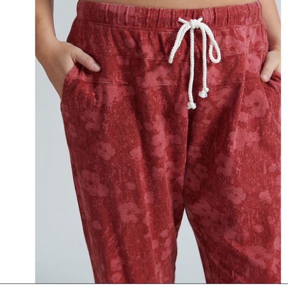 Anthropologie Saturday/Sunday Flora Printed Joggers in Wine - Picture 7 of 7